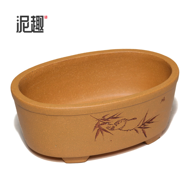 〔长青〕宜兴紫砂花盆古典菖蒲多肉微型万象盆景透气黄金段椭圆盆