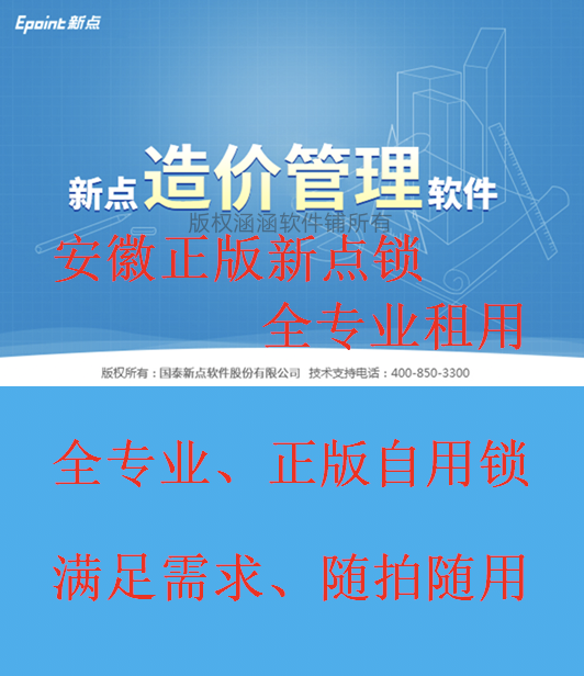 安徽正版新点锁租用，V10全专业，出租新点包使用满意，小时卡。 3C数码配件 加密狗 原图主图