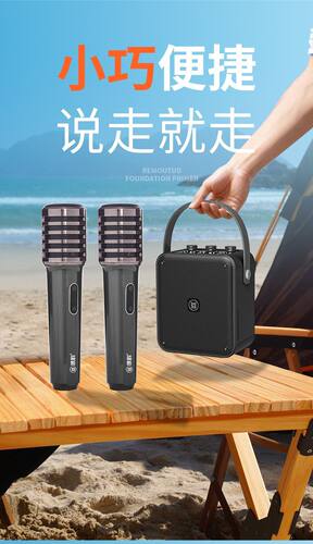 琅韵D93蓝牙便携式广场舞音箱低音大功率大音量立体音响