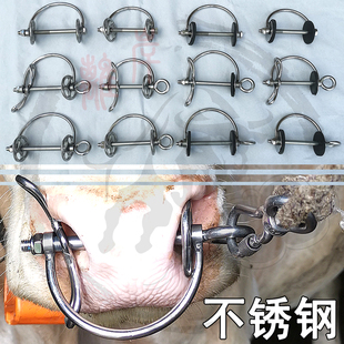D型不锈钢牛鼻环牛鼻圈拴牛环大号穿孔不锈钢鼻夹子牛鼻子牵引扣
