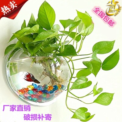 养鱼玻璃亚克力放插竹子花瓶水族花瓶