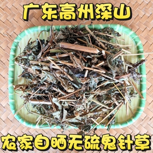 野生鬼针草广东药材正品三页一把针盲肠草刺针草无硫干货煲汤包邮
