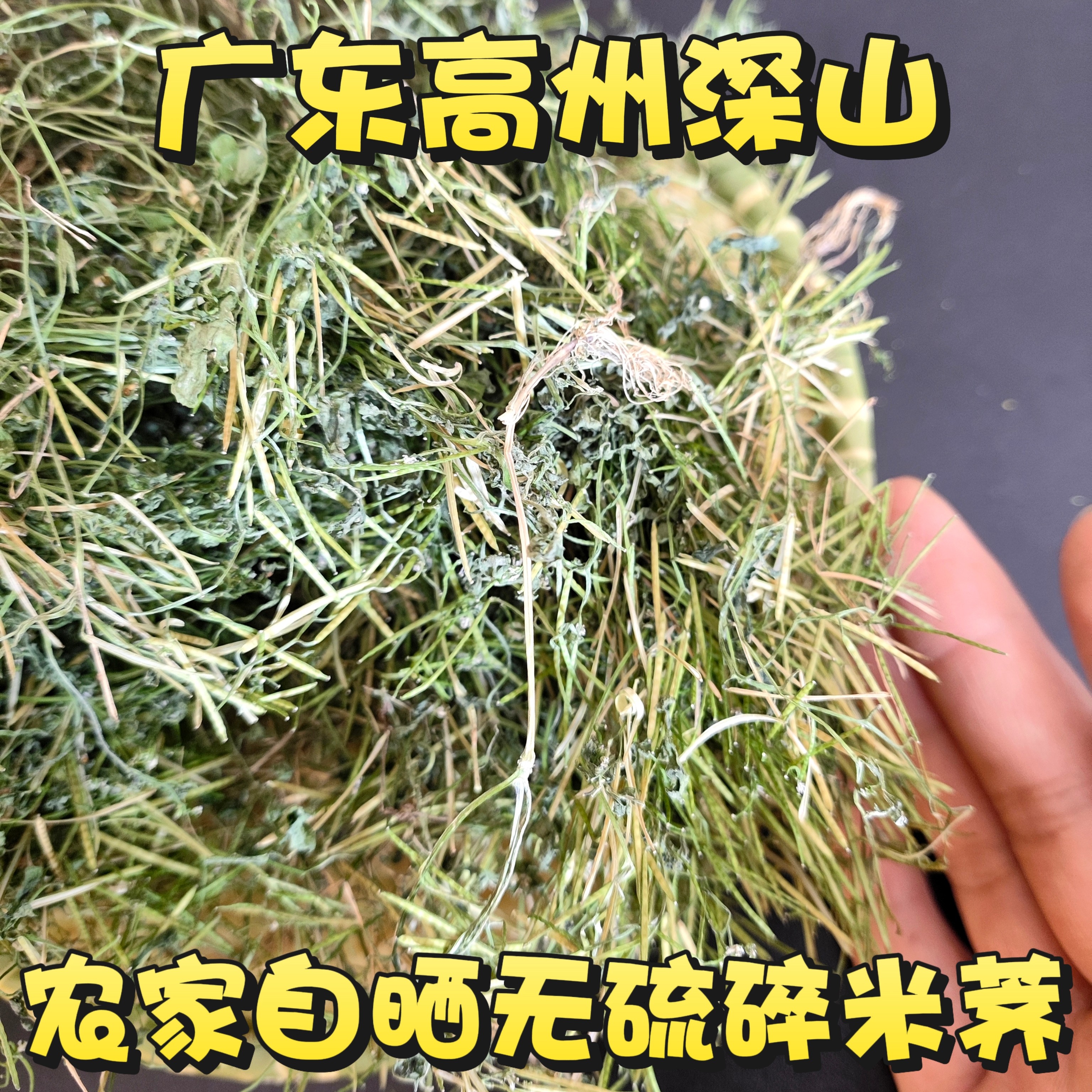 碎米荠 白带草 宝岛碎米荠 见肿消 粗毛碎米荠 雀儿菜 碎米芥干品