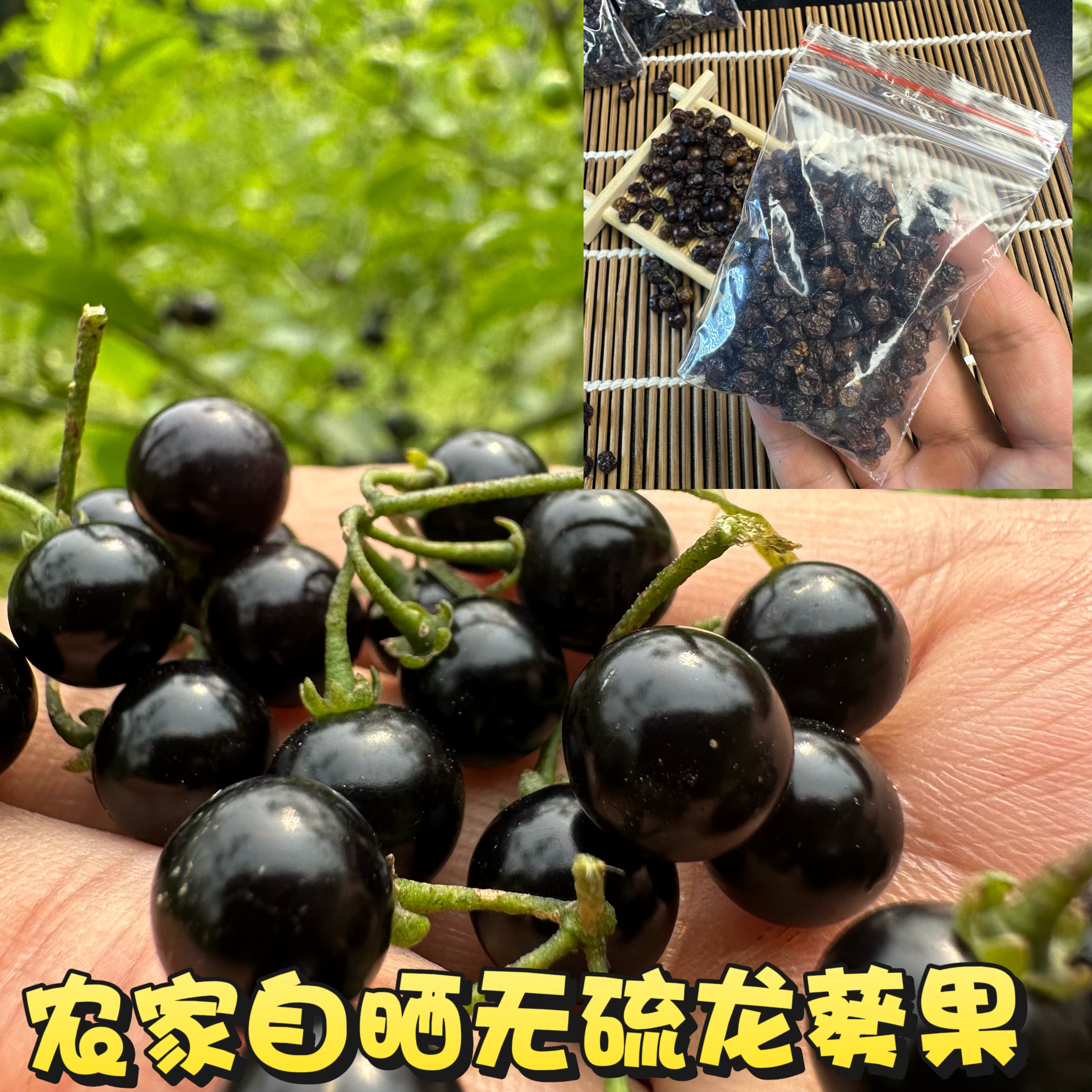 龙葵果10克装 药用龙葵子广东鲜龙葵果泡酒泡茶 干货中药材天茄子