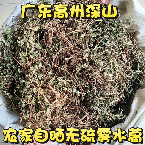 广东农家自晒雾水葛 新鲜粘榔膏整棵带根带叶连根干品地清散 包邮