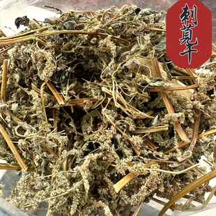 刺苋干汉菜干带刺红苋菜干马齿干绿刺苋野苋菜野刺苋马齿瘦肉炖汤