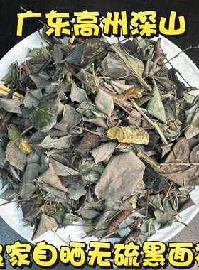 广东茂名野生黑面神中药材500g鬼画符  四季青 黑面叶 山夜兰包邮