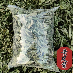 黄皮叶中药材正品 广东茂名黄皮果树叶 新鲜干货500g泡水煮水原材