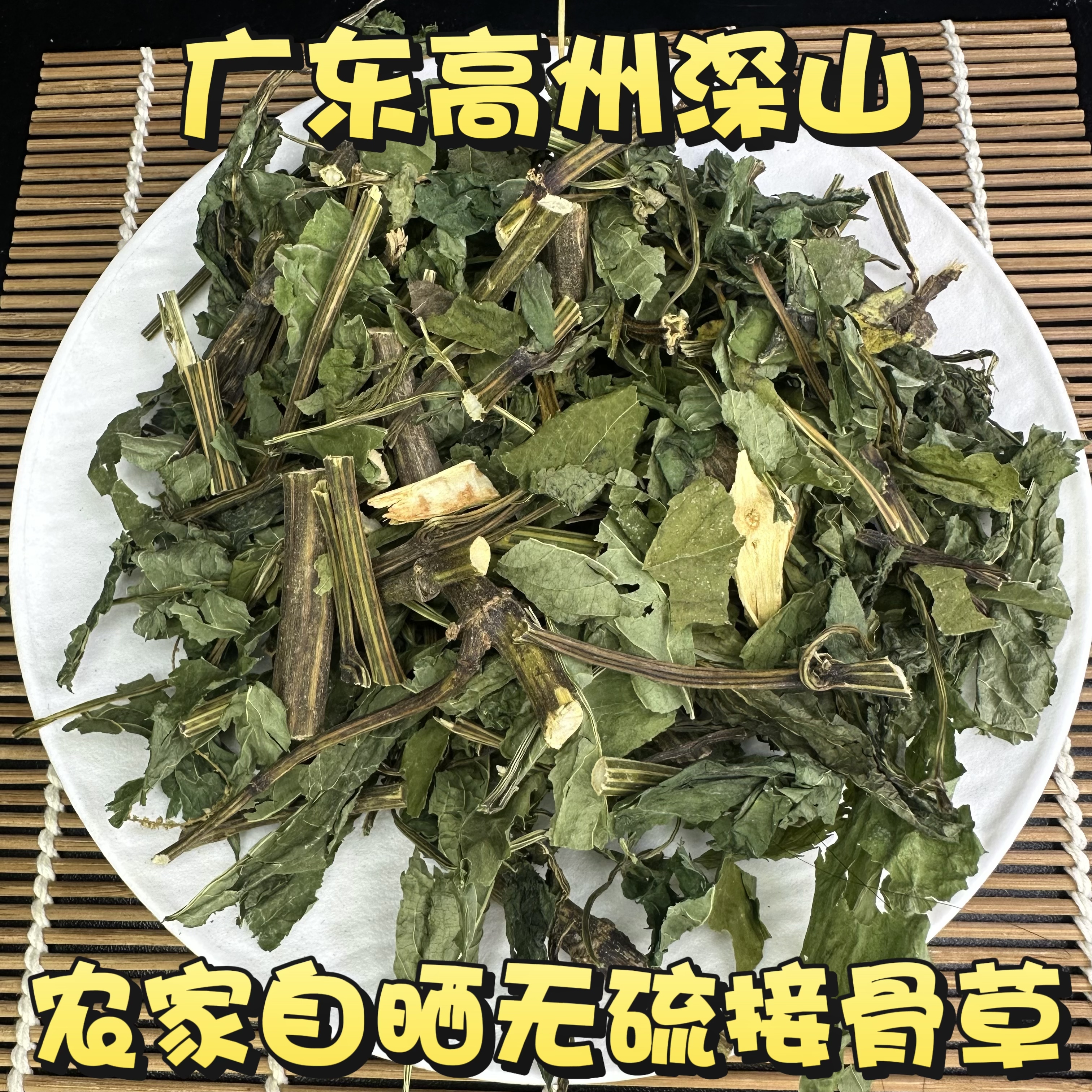 新鲜接骨草 陆英打粉八棱麻根杆叶 广东大臭草七叶麻根中药材包邮
