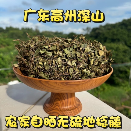 深山地稔地捻草地念藤山地菍铺地锦地脚茶地茄子矮脚地菍干品包邮