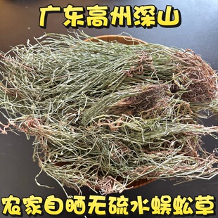 水蜈蚣草寒气草散寒草一箭球农家自晒三荚草金纽草 三箭草三星草