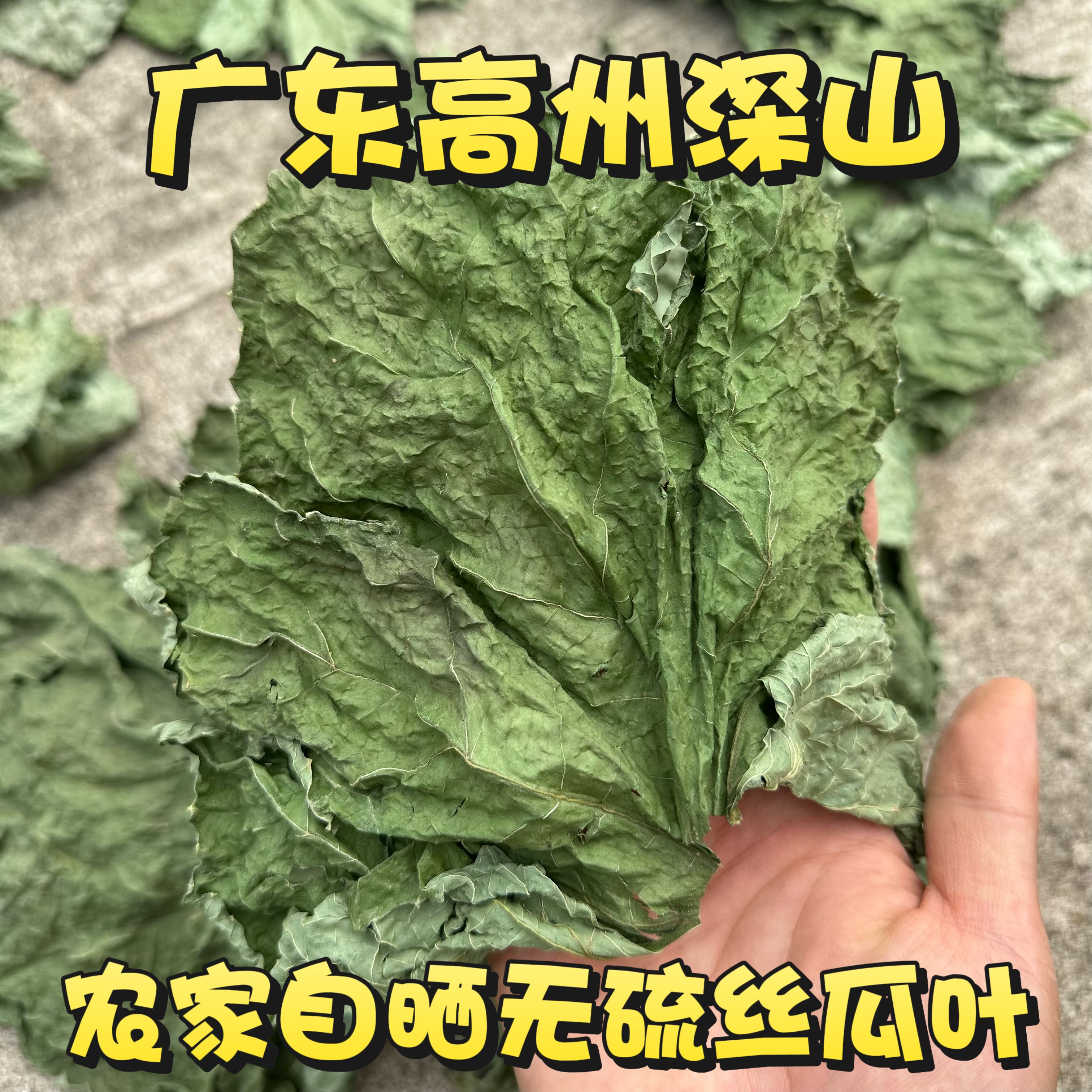 正宗丝瓜叶 干货无硫丝瓜藤上叶片 广东菜瓜叶子包邮水瓜叶中药材