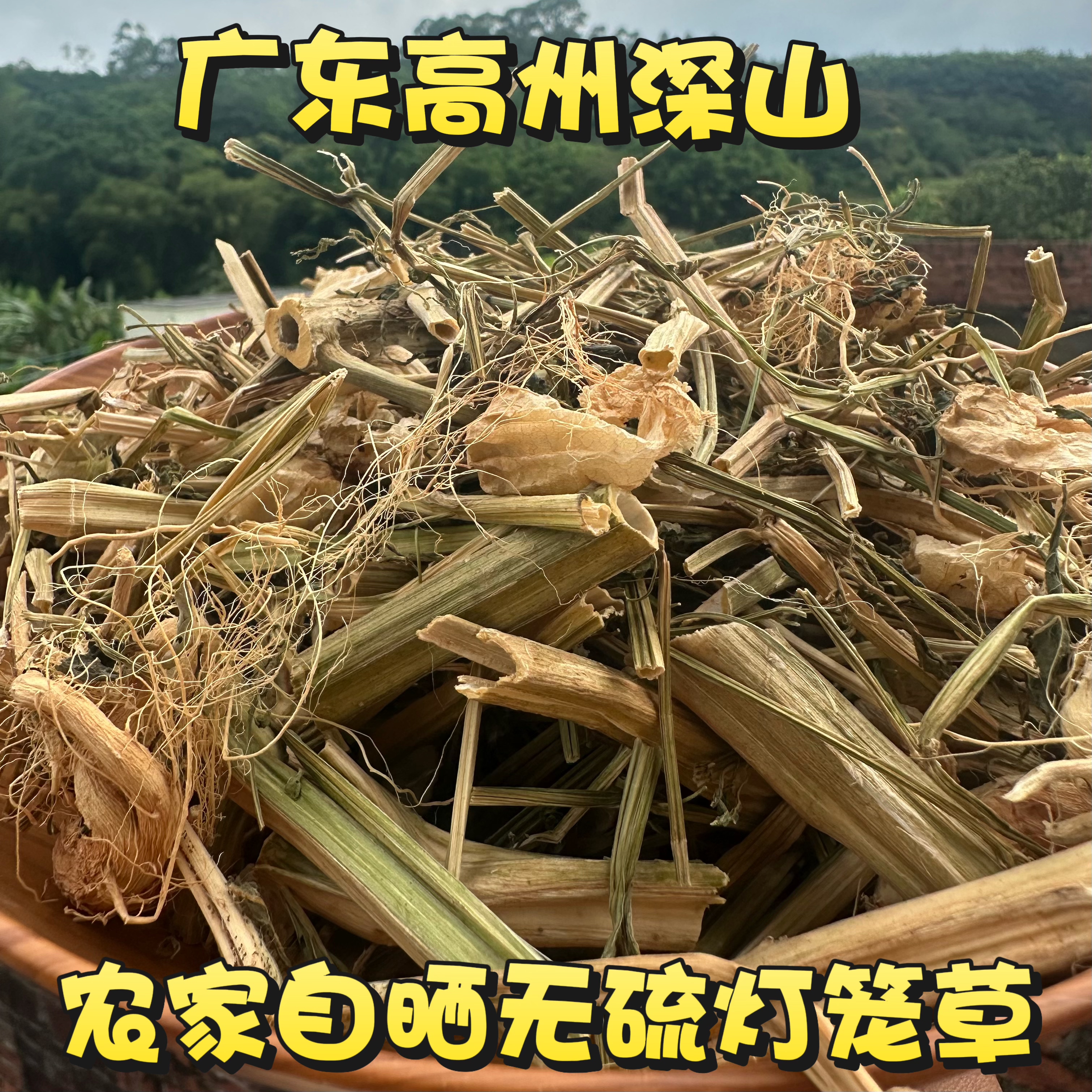 灯笼草包邮深山灯笼草中药材500g鬼灯笼苦锦灯笼广东姑娘果干草药
