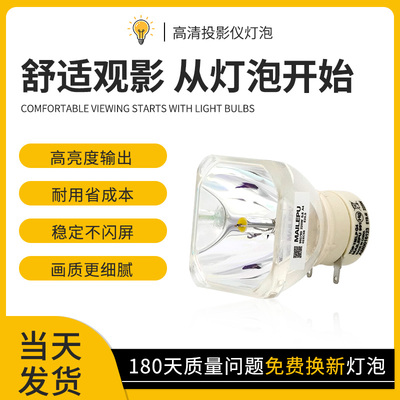 适用于雅图LW440ST/RAC100/RAC200/RAC300/LW3251/LW326ST/LW431ST/RAC400/DW35投影机仪灯泡