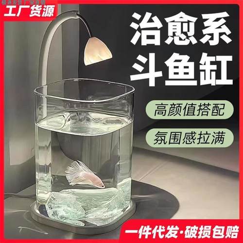 斗鱼适用缸小型网红造景玻璃缸