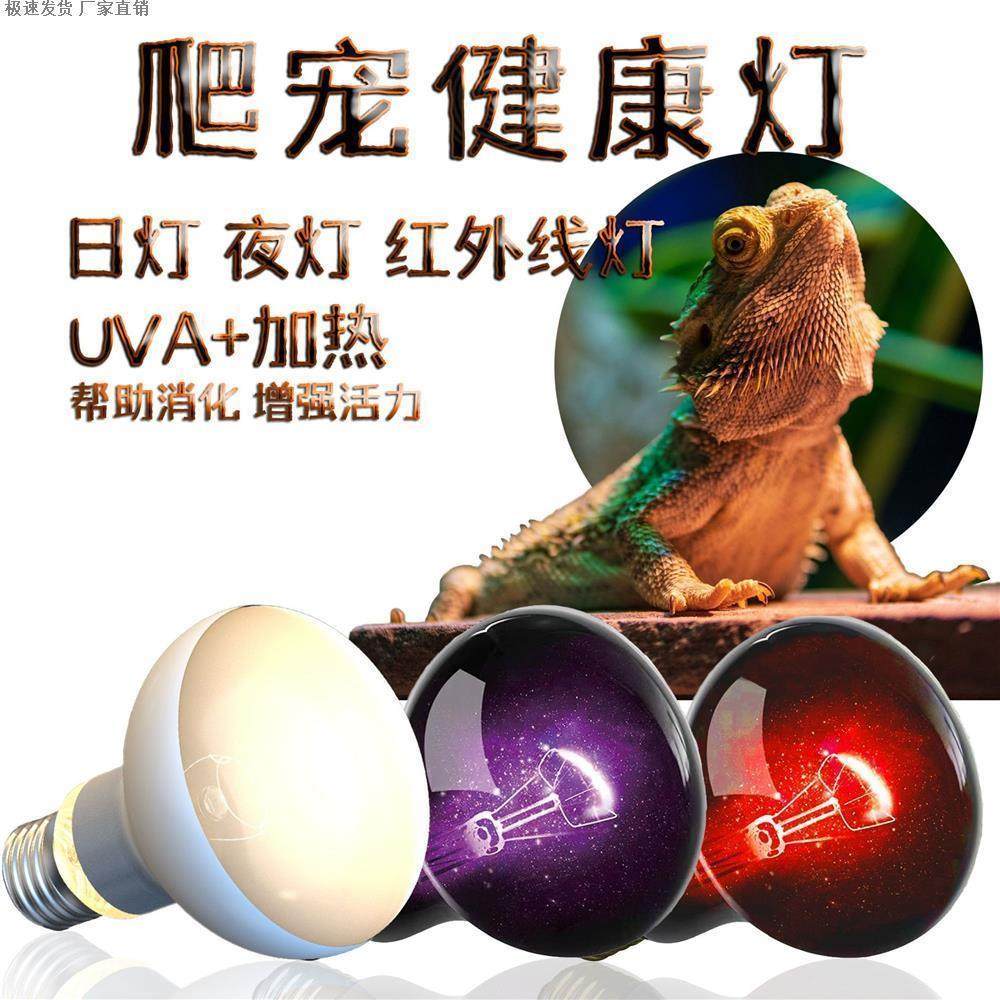 爬虫uva保温加热灯泡蜥蜴蛇守宫陆龟爬宠日灯夜灯红外线加热灯泡,宠物/宠物食品及用品,爬宠灯具,淘宝优惠券,粉丝福利购,淘宝优惠卷