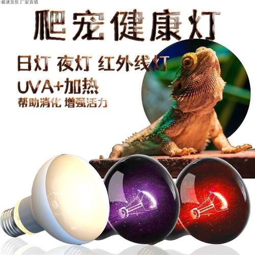 爬虫uva保温加热灯泡蜥蜴蛇守宫
