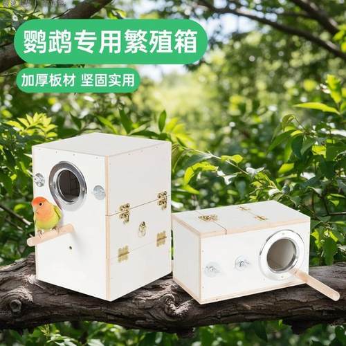 鹦鹉繁殖箱立式竖式虎皮玄凤牡丹