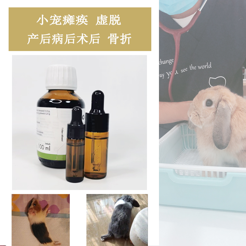 小宠无力虚脱瘫痪体弱营养不良兔子豚鼠龙猫花枝仓鼠侏儒金丝熊
