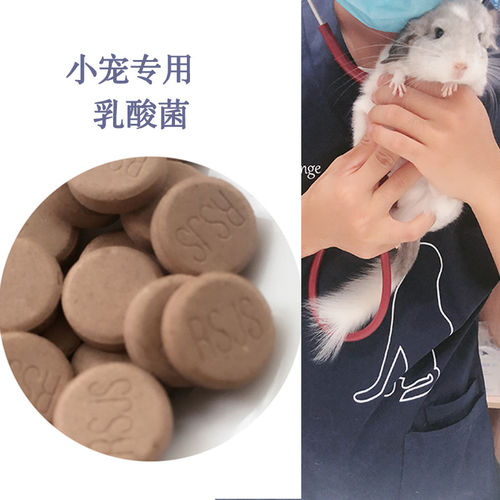 乳酸菌片分装40片调理宠物胃消化不好肠膨气引起的肠月婷儿B22