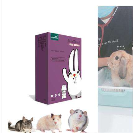 严诺护理眼睛呼吸道打喷嚏肠胃生殖软粪便兔子龙猫豚鼠仓鼠花枝