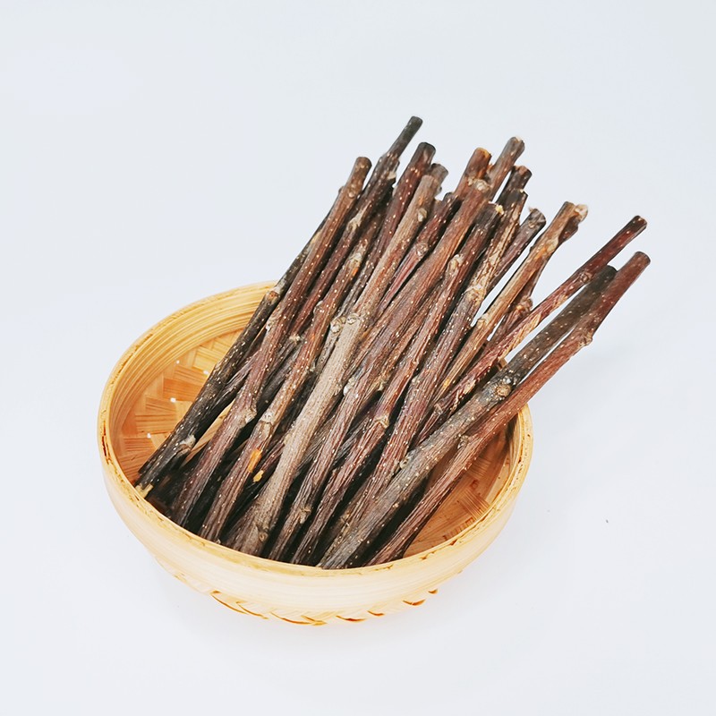 苹果枝磨牙解闷龙猫土拨鼠兔子