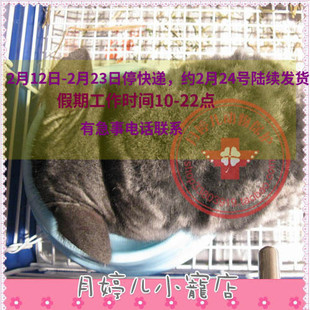 龙猫食毛咬毛症套药套装配药A23