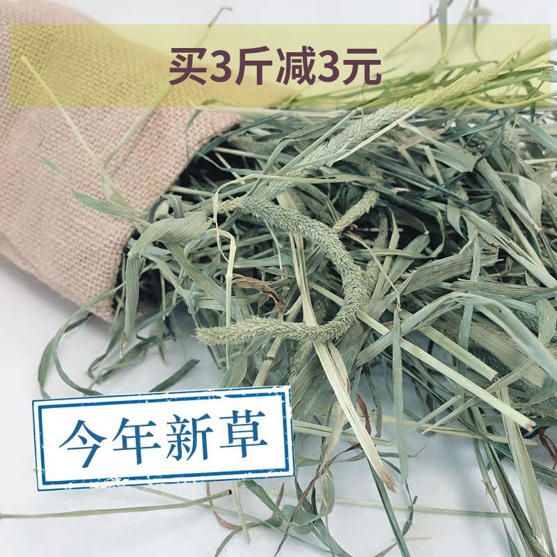 提摩西提木西兔子豚鼠龙猫荷兰猪