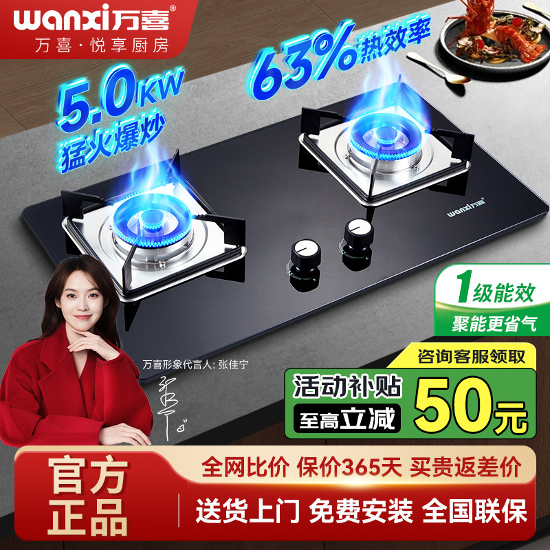 wanxi万喜76B10家用燃气灶液化气天然气大火力煤气灶双灶熄