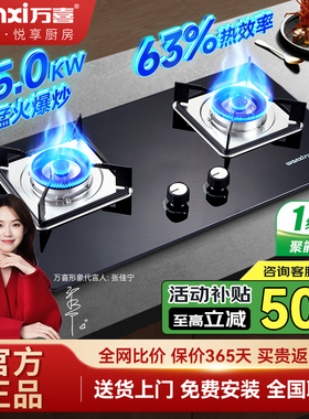 wanxi万喜76B10家用燃气灶液化气天然气大火力煤气灶双灶熄火保护