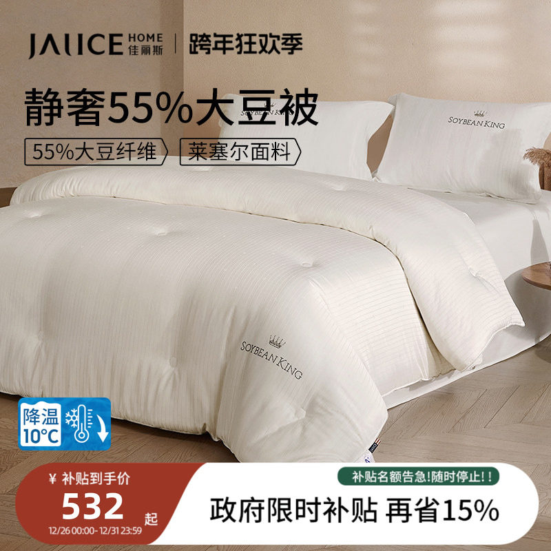 佳丽斯天丝棉冬季加厚保暖大豆被