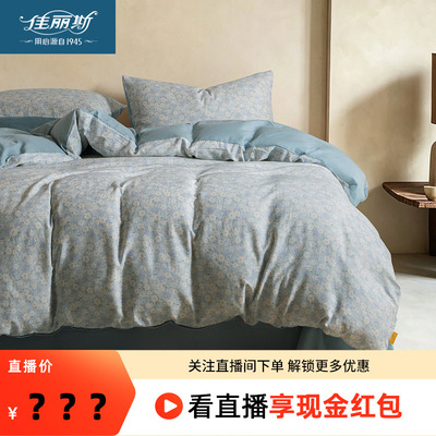 佳丽斯柔软100棉四件套简约时尚
