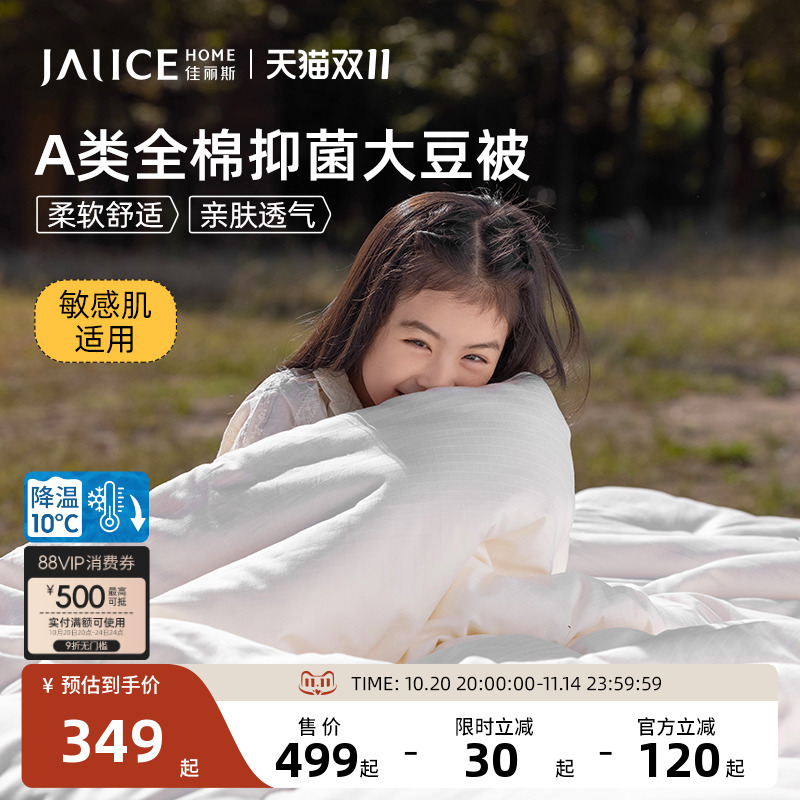 佳丽斯大豆纯棉被子四季通用