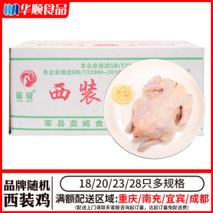 鸡18 叫了只炸鸡西式 28只全鸡 快餐专用冷冻白羽童子鸡 西装