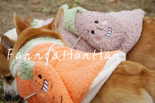 Смешная фенни ягненка-флис Хлопковый жилет Корги теплый куртка толстая собачья одежда плюс флиновая одежда для больших размеров