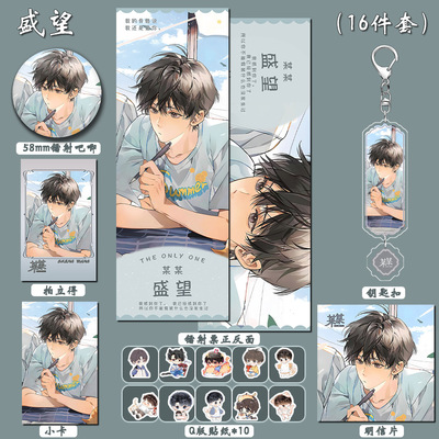 【十六件套装】某某小说周边盛望吧唧徽章谷美卡片贴纸挂件钥匙扣