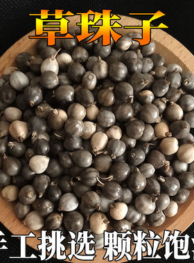 草珠子种子佛珠手串链散装菩提籽