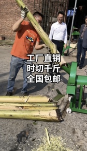 湖南电动芭蕉机芭蕉香蕉树粉碎切碎机芭蕉树饲料粉碎切草切碎机器