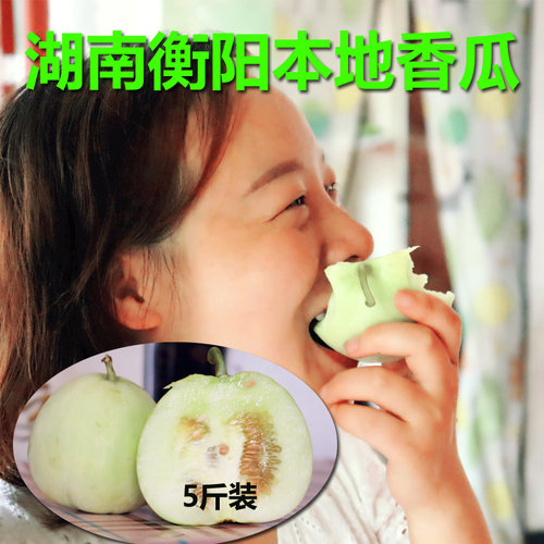 湖南衡阳本地香瓜现摘当季新鲜