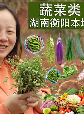 湖南露天无公害蔬菜混搭