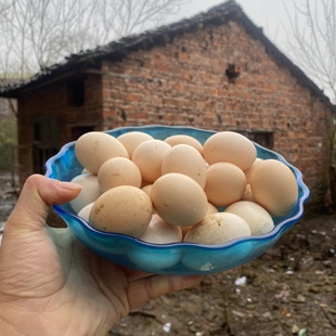 正宗土雞蛋農(nóng)家散養(yǎng)新鮮土雞蛋柴雞蛋草雞蛋挨家挨戶收購農(nóng)村30枚