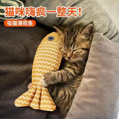 逗猫棒猫薄荷自嗨解闷宠物用品