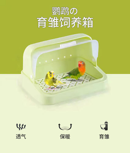 鹦鹉保温箱手养幼鸟虎皮玄凤育雏