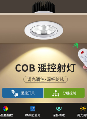 无极调光射灯智能遥控天花灯嵌入式牛眼灯cob筒灯亮度可调光led灯