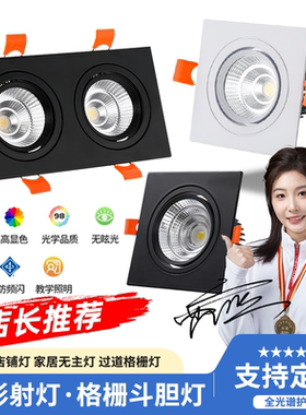 双头射灯led嵌入式天花灯长方形开孔16*8公分20*10格栅灯过道筒灯