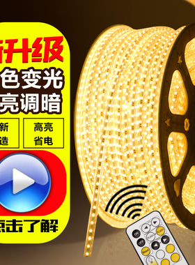 led灯带三色变光调色温调亮度遥控变色家用客厅高亮吊顶双排灯条