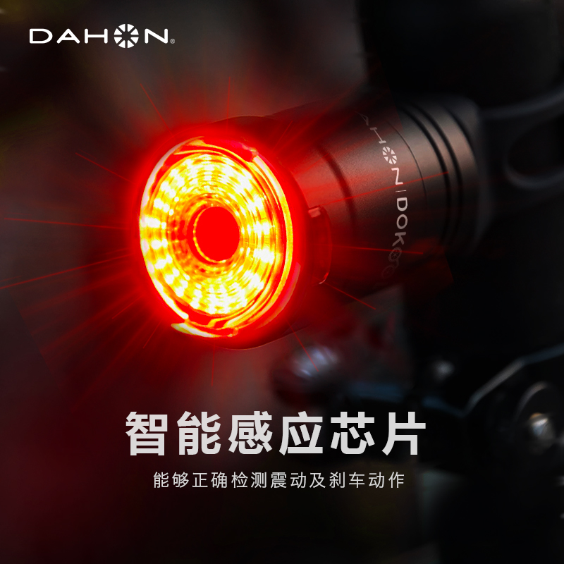 Dahon/大行智能感应刹车尾灯