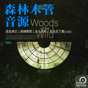 Wild Best The Woods 森林 Service 仙氣與史詩(shī) 木管音源