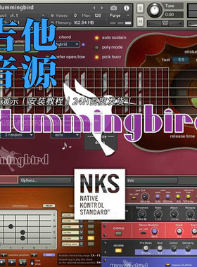 蜂鸟木吉他音源 Prominy Hummingbird