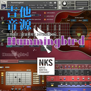 蜂鸟木吉他音源 Prominy Hummingbird